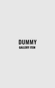dummy-gallery